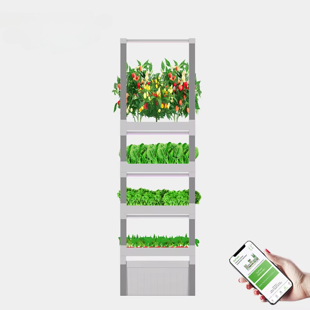 ระบบปลูกพืชไฮโดรโปนิกส์แบบกล่อ - Diy Home Automation System บทวิจารณ์และราคา