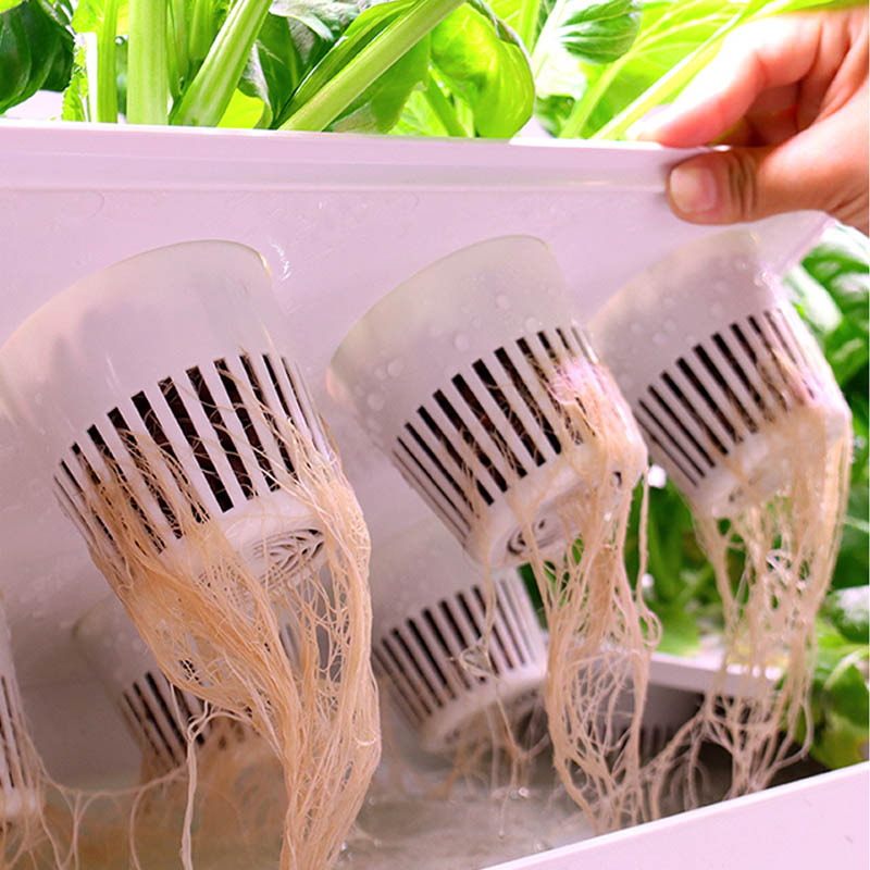 ระบบปลูกพืชไฮโดรโปนิกส์ ระบบอั - Diy Home Automation System บทวิจารณ์และราคา